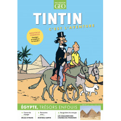 TINTIN CEST LAVENTURE N 17 - LEGYPTE