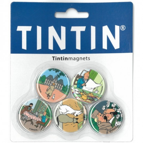 MAGNET X 5 TINTIN