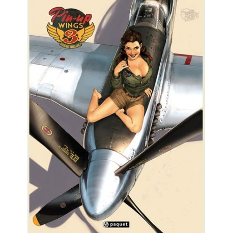 PIN-UP WINGS T3