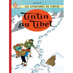 TINTIN - PETIT FORMAT COULEURS - T20 - TINTIN AU TIBET