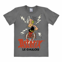 T SHIRT ASTERIX LE GAULOIS GRIS ENFANT TAILLE 2 3 ANS