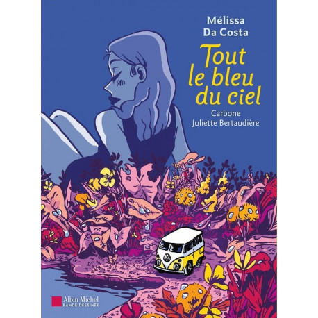 TOUT LE BLEU DU CIEL BD