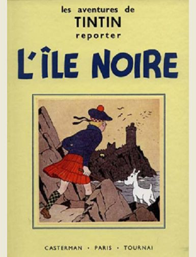 Amazon.com: Les Aventures de Tintin : Mini-albums en noir et