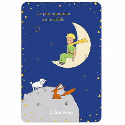 LE PETIT PRINCE SUR LA LUNE REGARDANT LE MOUTON ET LE RENARD CARTE POSTALE 10X15CM