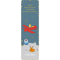 LE PETIT PRINCE AVION MARQUE PAGES MESSAGE
