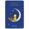 LE PETIT PRINCE ET LE RENARD ASSIS SUR LA LUNE CARTE POSTALE 10X15CM