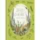 BRINS D HERBE