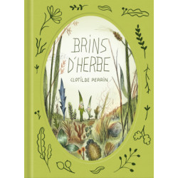 BRINS D HERBE