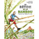LE BETON ET LE BAMBOU ONE SHOT LE BETON ET LE BAMBOU PROPOSITIONS POUR MAYOTTE ET LE MONDE