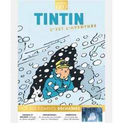 TINTIN C EST L AVENTURE 22 FACE AUX ELEMENTS