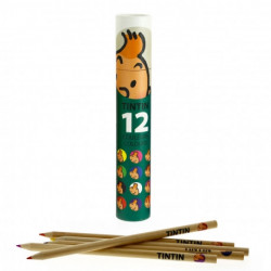 TINTIN CRAYONS DE COULEUR FOND VERT